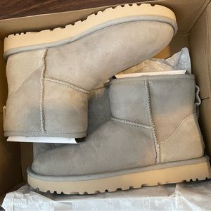 Brand new in box UGG Classic Mini boots in color Goat size 8
